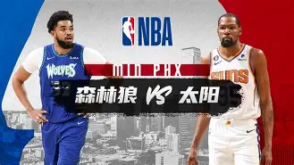 明尼苏达森林狼队季后赛战绩