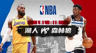 明尼苏达森林狼队季后赛战绩