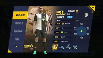 赛前里昂调整名单以备意甲，防线松动环节打磨，信心回归，球队文化再被提及